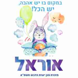 תיבת אחסון דגם ארנב במטוס