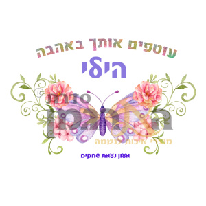 דגם הילי