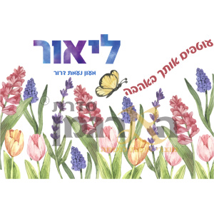 פליז דגם טוליפ