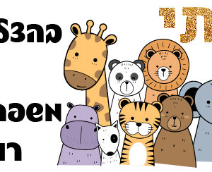 קופסת אוכל דגם עתי