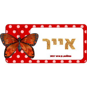 קופסת אוכל דגם אייר