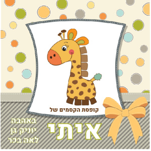 תיבת אחסון דגם איתי