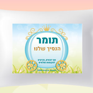 דגם כרכרה תומר