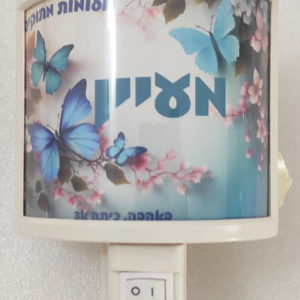 דגם מעיין