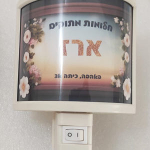 דגם ארז