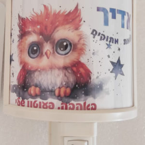 דגם ינשוף כתום