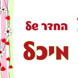 דגם מיכל