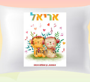 דגם מוזיקה אריאל