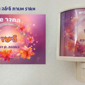 מארז מנורת לילה / שעון ושלט דלת תואם