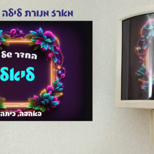 מארז דגם ליאל