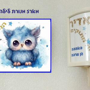 מארז דגם ינשוף