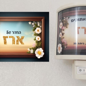 מארז דגם ארז