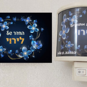 מארז דגם לירוי