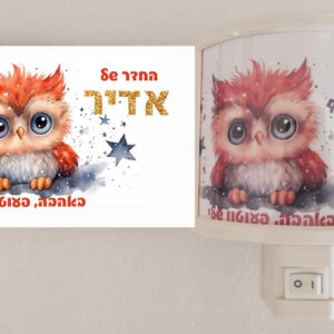 מארז דגם ינשוף כתום