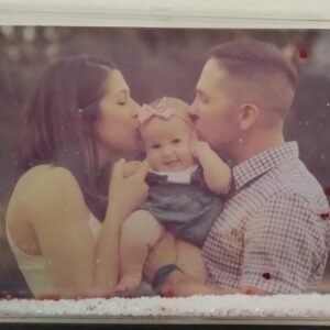 תמונה מושלגת דגם 1