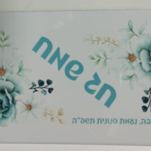 מעמד למצות דגם אמינוב
