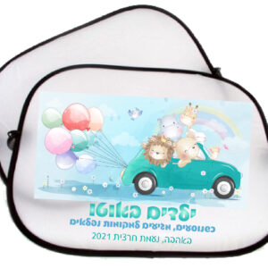 צלונים לרכב