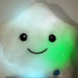 כרית נוי כוכב מאיר גדול 39 שח