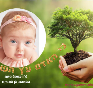 מגנט עם תמונה - עץ השדה